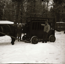 [Mieszańce w klatce]