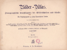 Bilder-Atlas : ikonographische Encyklop&auml;die der Wissenschaften und K&uuml;nste : ein Erg&auml;nzungswerk zu jedem Conversation-Lexikon. Bd 8, Geographie