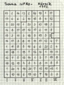 Sosna proweniencyjna IUFRO 1982 K&oacute;rnik