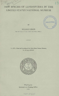 New species of Lepidoptera in the United States National Museum