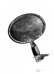 disc shaped fibula (Buczek) - metallographic analysis