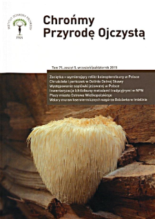 Płazy miasta Ostrowa Wielkopolskiego
