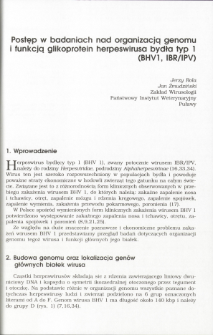 Genome organization and function of BHV 1 proteins