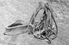 Horse collar