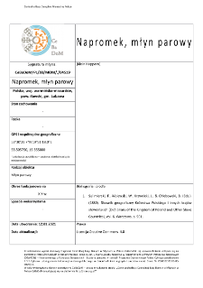 Napromek, młyn parowy