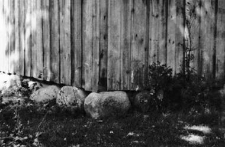 Wood planks wall (a barn)