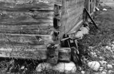 Beams joints in a barns quoin