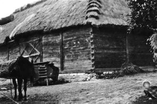 A barn