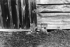 A barn doors pillar with a base in a foundation