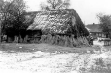 A hipped straw roof on the barn