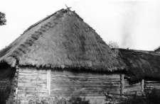 A barn and a cow-shed