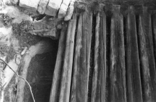 A fragment of a log