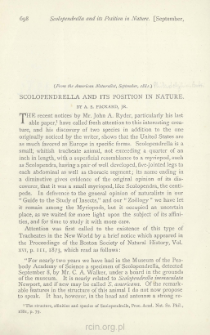 Scolopendrella and its Position in Nature