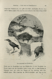 Von der Capstadt ins Land der Maschukulumbe : Reisen im s&uuml;dlichen Afrika in den Jahren 1883-1887. Bd. 1
