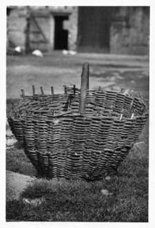A basket
