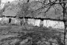 A cottage