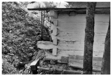 A fragment of a cottage