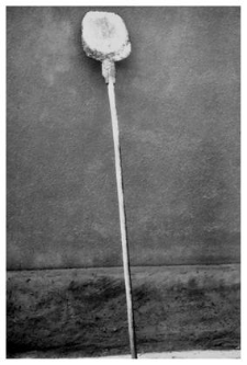 A bread oven shovel