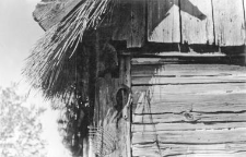Post-and-plank cottage