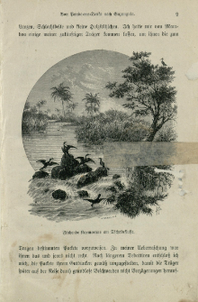Von der Capstadt ins Land der Maschukulumbe : Reisen im südlichen Afrika in den Jahren 1883-1887. Bd. 2
