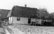 Log cottage