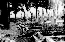 A fragment of a graveyard