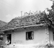 Log cottage