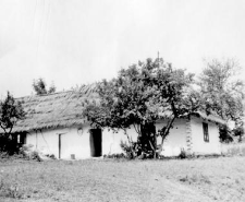 Cottage, stable