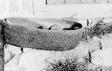 A basket