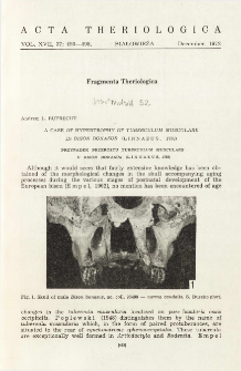 A case of hypertrophy of tuberculum musculare in Bison bonasus (Linnaeus, 1758)