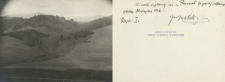 Prywatne archiwum fotograficzne roślin drzewiastych Stanisława Sokołowskiego : Lipy