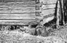 Log cottage
