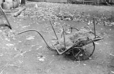 Cart