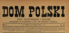 Dom Polski : pismo beletrystyczne i naukowe 1889 N.33