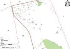 Map of the Kórnik Arboretum - section 20