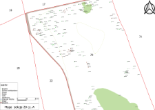 Map of the K&oacute;rnik Arboretum - section 20