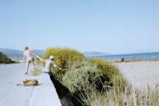 Rhodes (1983)