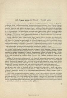 119. Cerasus avium (L.) Moench - Czereśnia ptasia