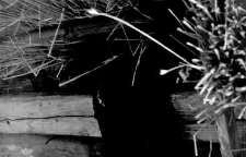 Building fragment