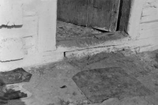 Cottage fragment
