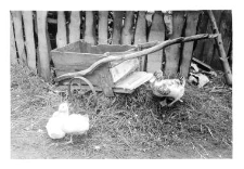 Handcart
