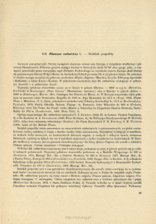 143. Rhamnus catharticus L. - Szakłak pospolity