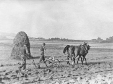 Plough