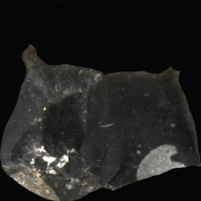 Cretaceous flint from Rijckholt-St.Geertruid mine : 3D documentation