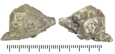 Silver clump