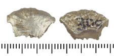 Silver clump
