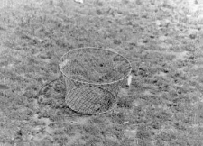 Wire basket