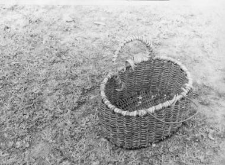Basket with two handles