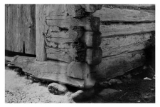 Fragment of a log construction, foundation