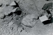 Fragment kamiennych fundamentów kościoła (kolegiaty) podczas dokumentowania